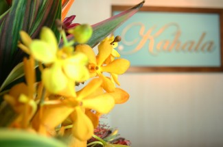 アイラッシュリゾートカハラ　綾瀬店